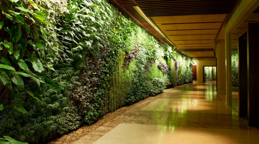 Merancang Vertical Garden yang Enak Dipandang